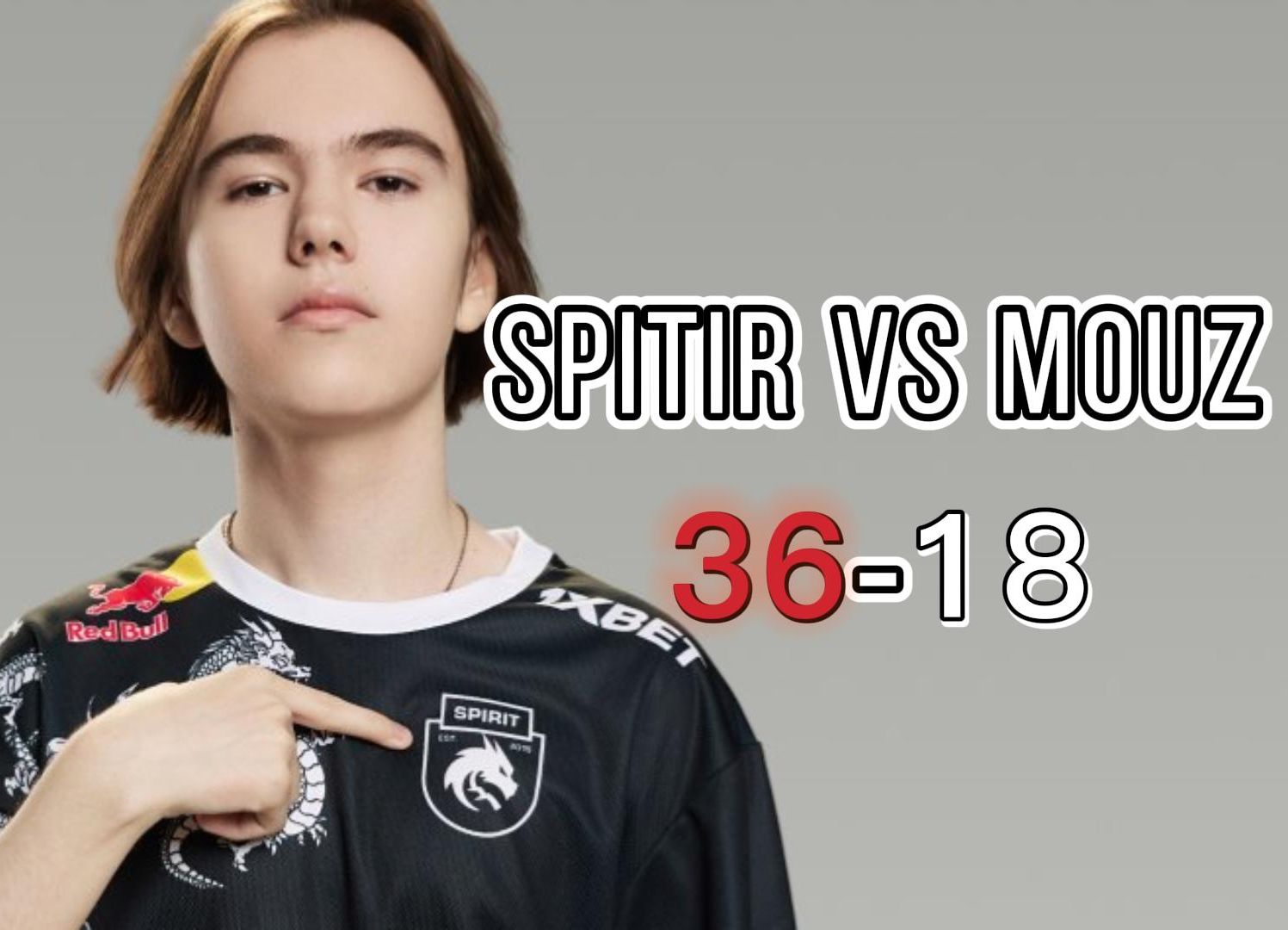 马的职业生 马的职业生